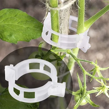 50/100Pcs לשימוש חוזר 25mm פלסטיק תמיכה הצמח קליפים מלחציים עבור צמחים תלויים הגפן גן חממה ירקות עגבניות קליפים