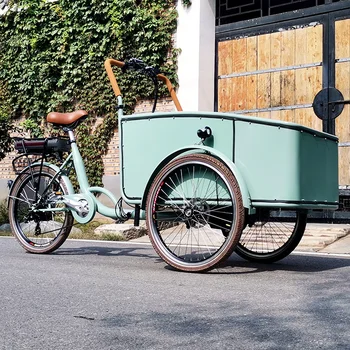 הדוושה החשמלית הולנדית למבוגרים תלת אופן בצבע כחול מטען האופניים ברחוב אוטומטיות העגלה למכירה להתאמה אישית