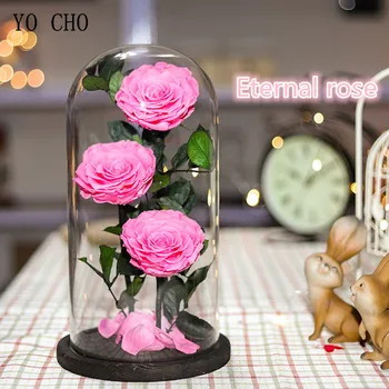 טבעי טרי נשמר פרחים בתוך כיפת זכוכית פרח אלמוות רוז לחתונה קישוט חג האהבה מתנה לשנה החדשה אוהב