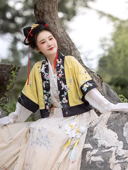 טונג גואן עיצוב מקורי Hanfu סתיו מוצר חדש קריין השרוול אבטיח, חתול פרפר רקמה Hanfu נשים סינית מסורתית